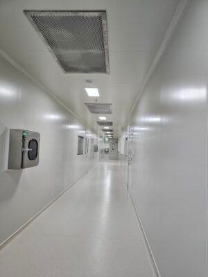 Te bao goc Viet Nhat